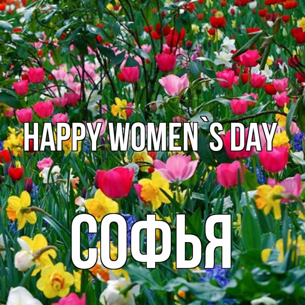 Greetings card с именем, Софья happy women`s day с международным женским днем поздравления для женщины Greetings with text for free download 